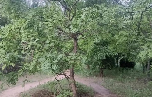 晚年夫妻，两口子最好的活法三不问两不争一不碰送给中老年朋友们