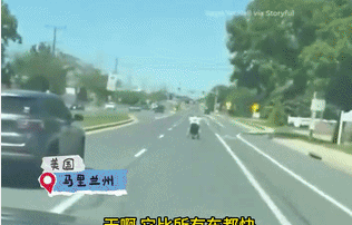 轮椅时速达50km/h！美国男子开电动轮椅狂飙