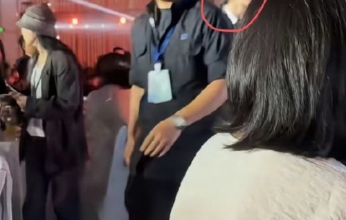 杨紫最终获得白玉兰奖最佳女主角了吗？