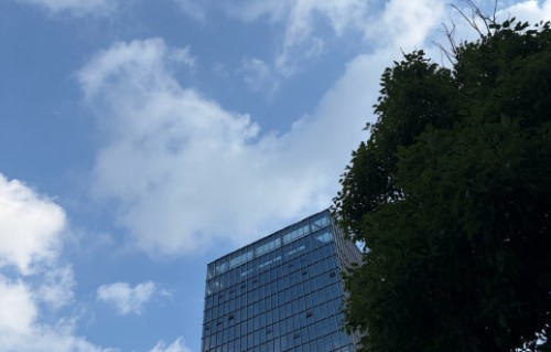 曾沛慈声带受伤恢复情况怎么样了？