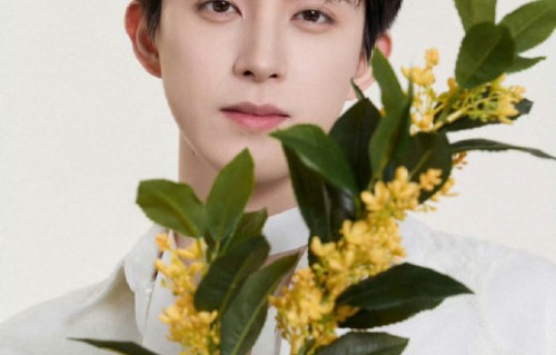 艾米下一部剧《师兄太稳健》什么时候播？
