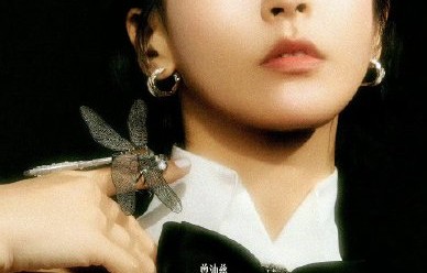 曾沛慈在《乘风2026》舞台上具体表演了哪几首代表歌曲？|雷婷|终极一班|终极三国|情怀|钢琴