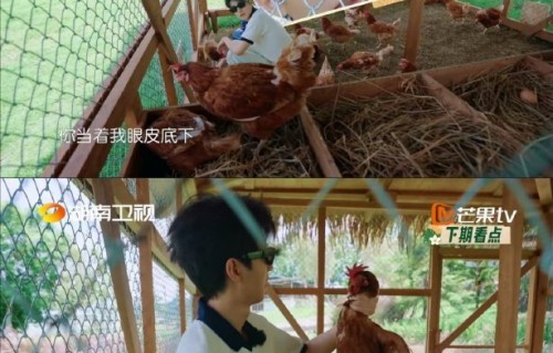王俊凯的“鸡蛋主理人”称号是怎么来的？