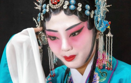 41岁向佐谈家庭裂痕与事业转型:从星二代到短剧头部演员的逆袭之路|陈岚（向太）|向华强|向佑|节目|关系