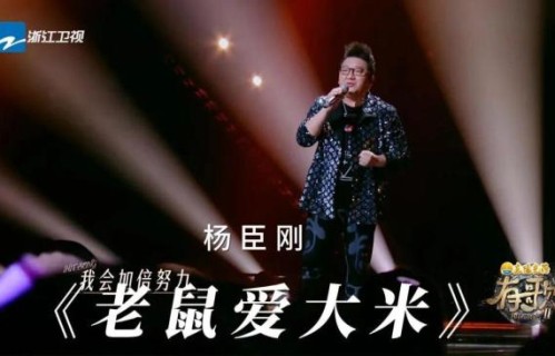 杨臣刚自曝因老鼠爱大米收入1.7亿 版权争议再起