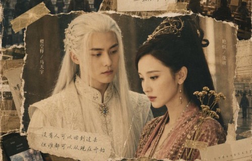 马天宇和张萌合作过哪些作品？