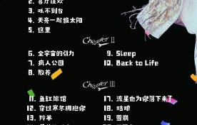王源未来在音乐创作和巡演上还有哪些新计划？