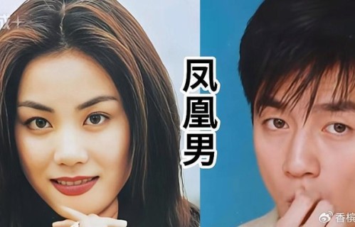 沈殿霞为捧红郑少秋赔上一辈子|女儿|郑欣宜|结婚|婚姻|官晶华