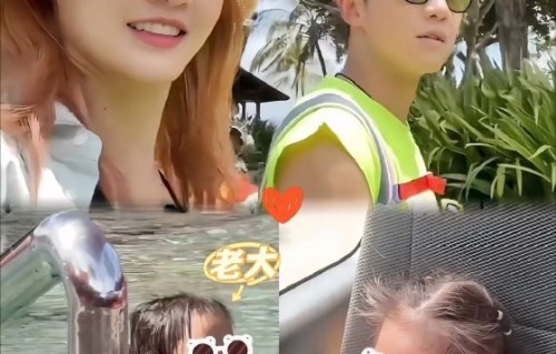 郑恺苗苗的日常相处模式是怎样的？