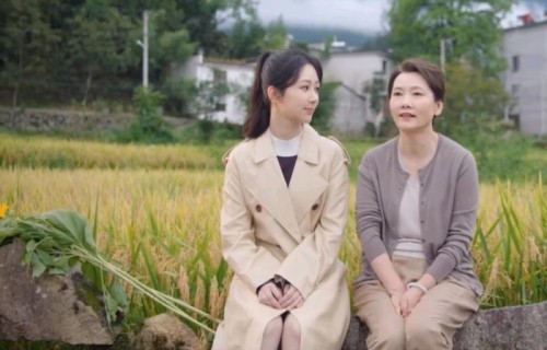 《承欢记》大结局圆满但有一处遗憾，何赛飞圆了戏曲梦，许凯成了上门女婿