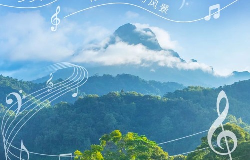 海报丨有没有人告诉你，来看陈楚生要这样游海南→