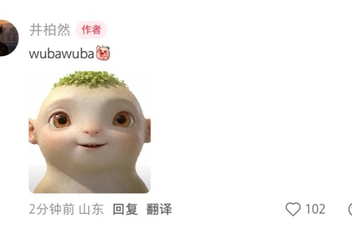 井柏然胡巴妈晒娃人设引热议