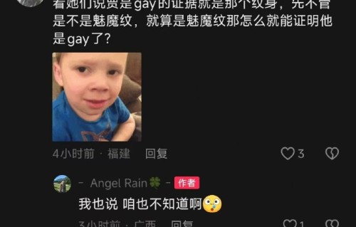 网友对甜馨护母行为的主要看法有哪些？