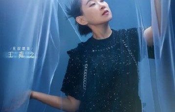 王菀之的加速版《乱世巨星》在社交媒体上引发了哪些主要讨论和评价？