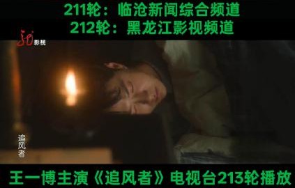 《追风者》的213轮上星重播纪录说明了什么？