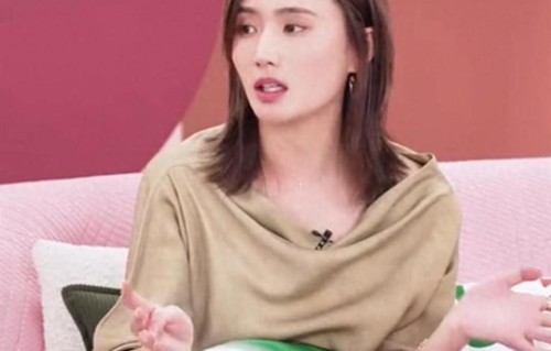 海哈金喜大方谈及前夫，没有抱怨与指责，他们复婚的可能性极低