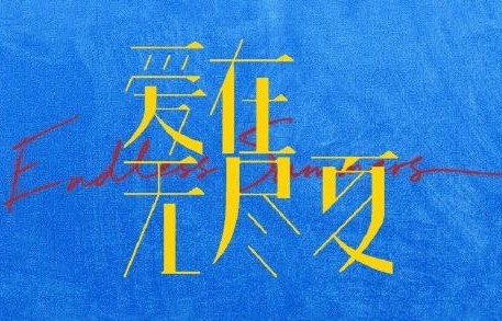 《爱在无尽夏》的剧情核心和故事梗概是什么？