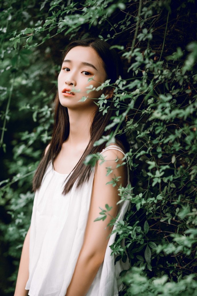 中戏教授提到的“流量与实力平衡”，在白玉兰评审中具体指哪些考量标准？_手机新浪网