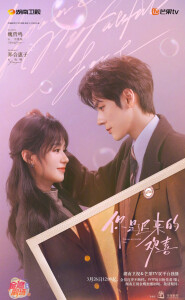 《你是迟来的欢喜》是由刘栋执导，魏哲鸣、郑合惠子领衔主演，李俊贤、李歌洋、陈昊蓝、张沐兮主演，刘小北、张远特邀出演，范湉湉、姬晨牧特别出演的电视剧，于2026年3月26日起在芒果TV播出[1]。