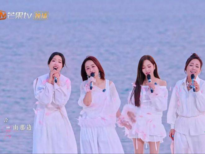 尽管王珞丹在网络上的人气并不高,但其个人喜爱度依旧可圈可点,并且她是除叶童之外唯一在连续五公中都以队长身份登场的姐姐,这个“皇族”地位可见一斑。